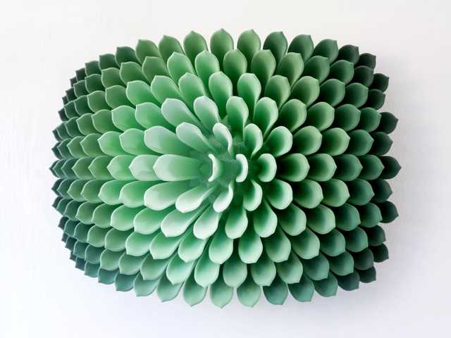Succulent