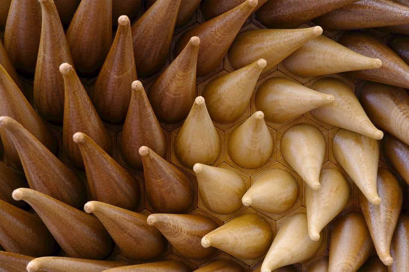 Twisted Tentacles | Herschel Shapiro | Generative Relief Office Decor Twisted Tentacles | Herschel Shapiro | Generative Relief Office Decor