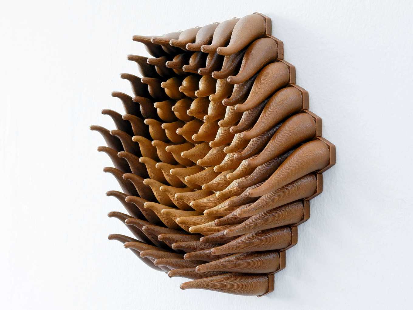 Wooden Vortex Sprouts