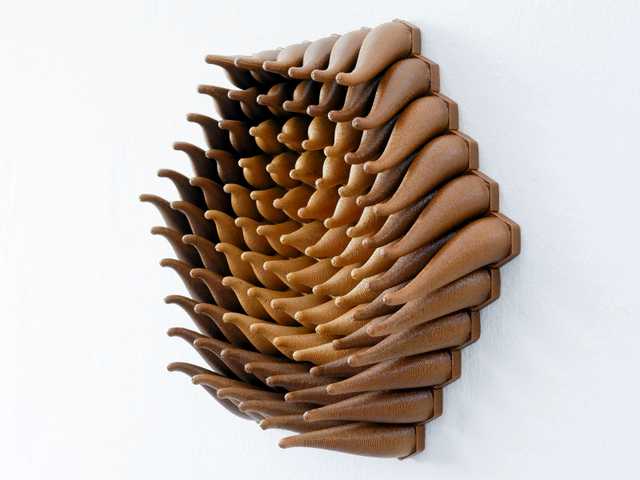 Wooden Vortex Sprouts