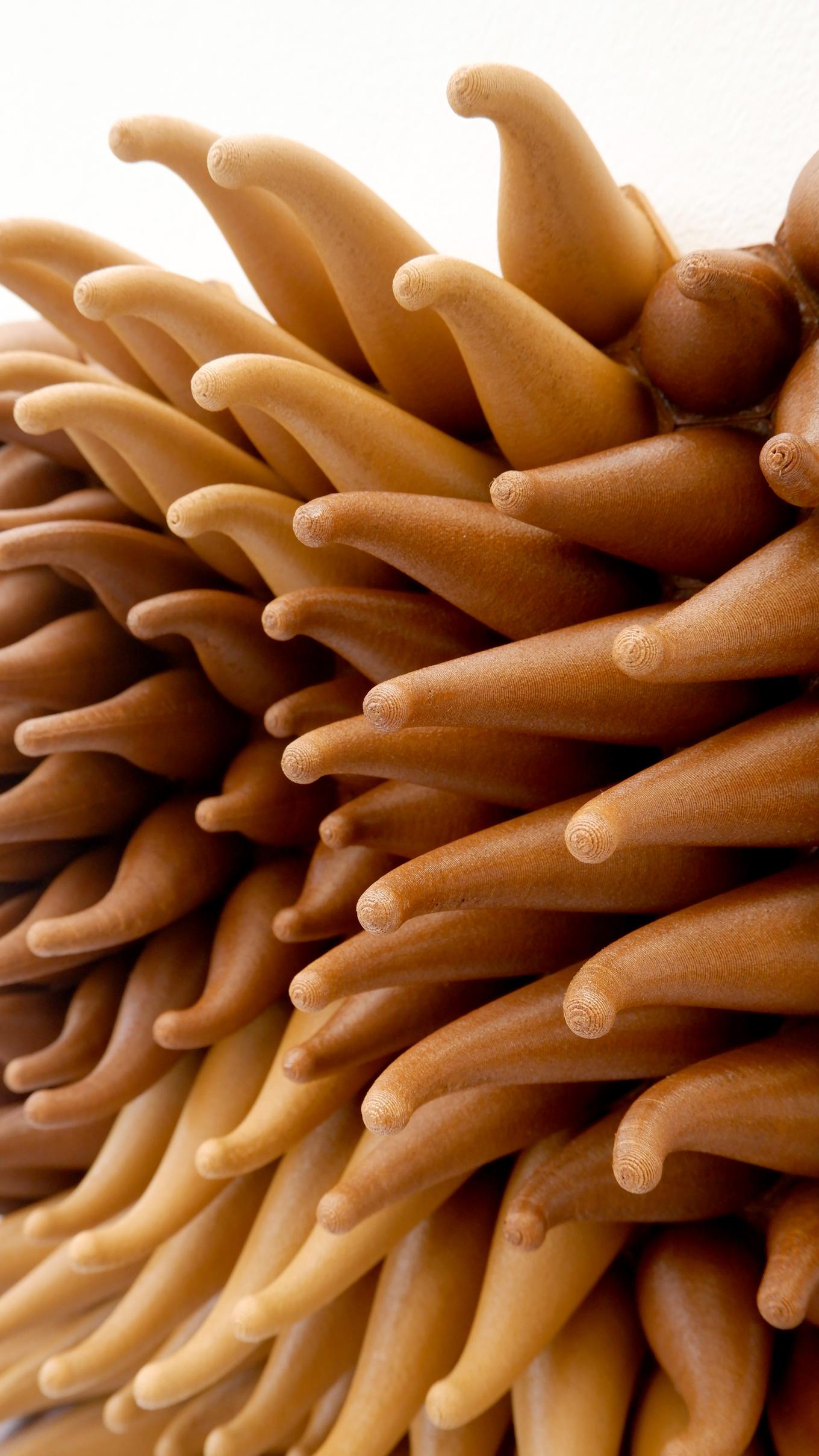 Tall Sweepy Sprouts | Herschel Shapiro | 3D-Printed Wall Sculpture Tall Sweepy Sprouts | Herschel Shapiro | 3D-Printed Wall Sculpture