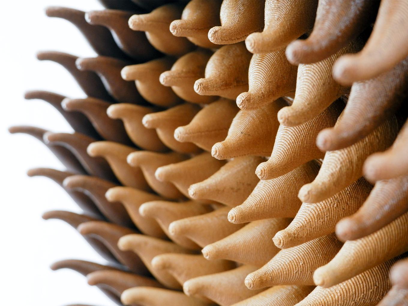 Wooden Vortex Sprouts | Herschel Shapiro | Modern Dimensional 3D Wall Art Mosaic Wooden Vortex Sprouts | Herschel Shapiro | Modern Dimensional 3D Wall Art Mosaic