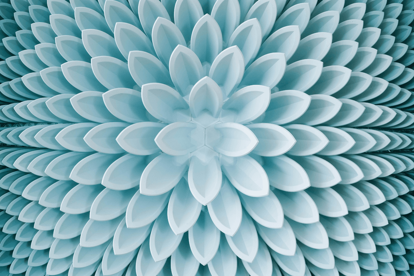 Evening Bloom | Herschel Shapiro | Organic Geometric Sculptures Evening Bloom | Herschel Shapiro | Organic Geometric Sculptures