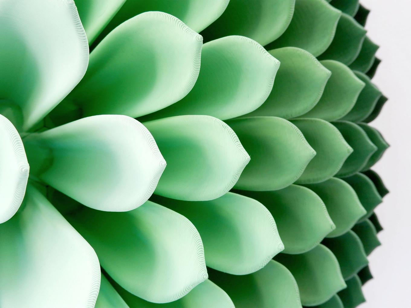 Succulent | Herschel Shapiro | Contemporary Wall Sculpture Succulent | Herschel Shapiro | Contemporary Wall Sculpture