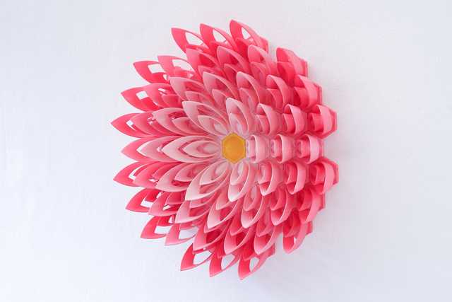 Small Pink Lotus