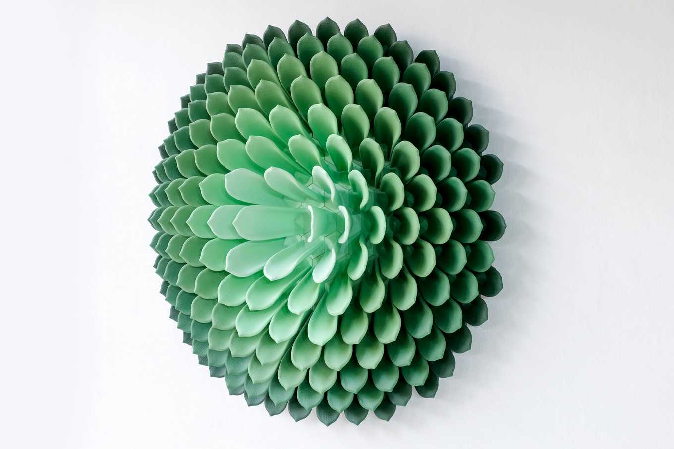 Circle Succulent