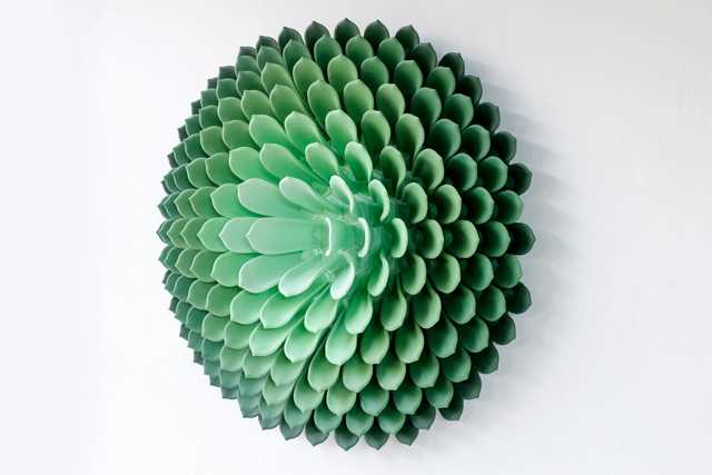 Circle Succulent