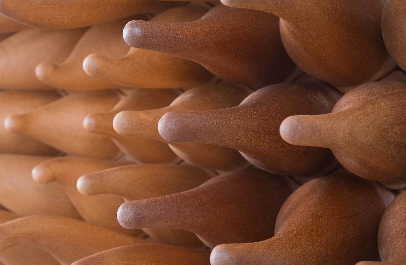 Swirly Sprouts - Meranti Wood | Herschel Shapiro | Dimensional Wall Object Swirly Sprouts - Meranti Wood | Herschel Shapiro | Dimensional Wall Object