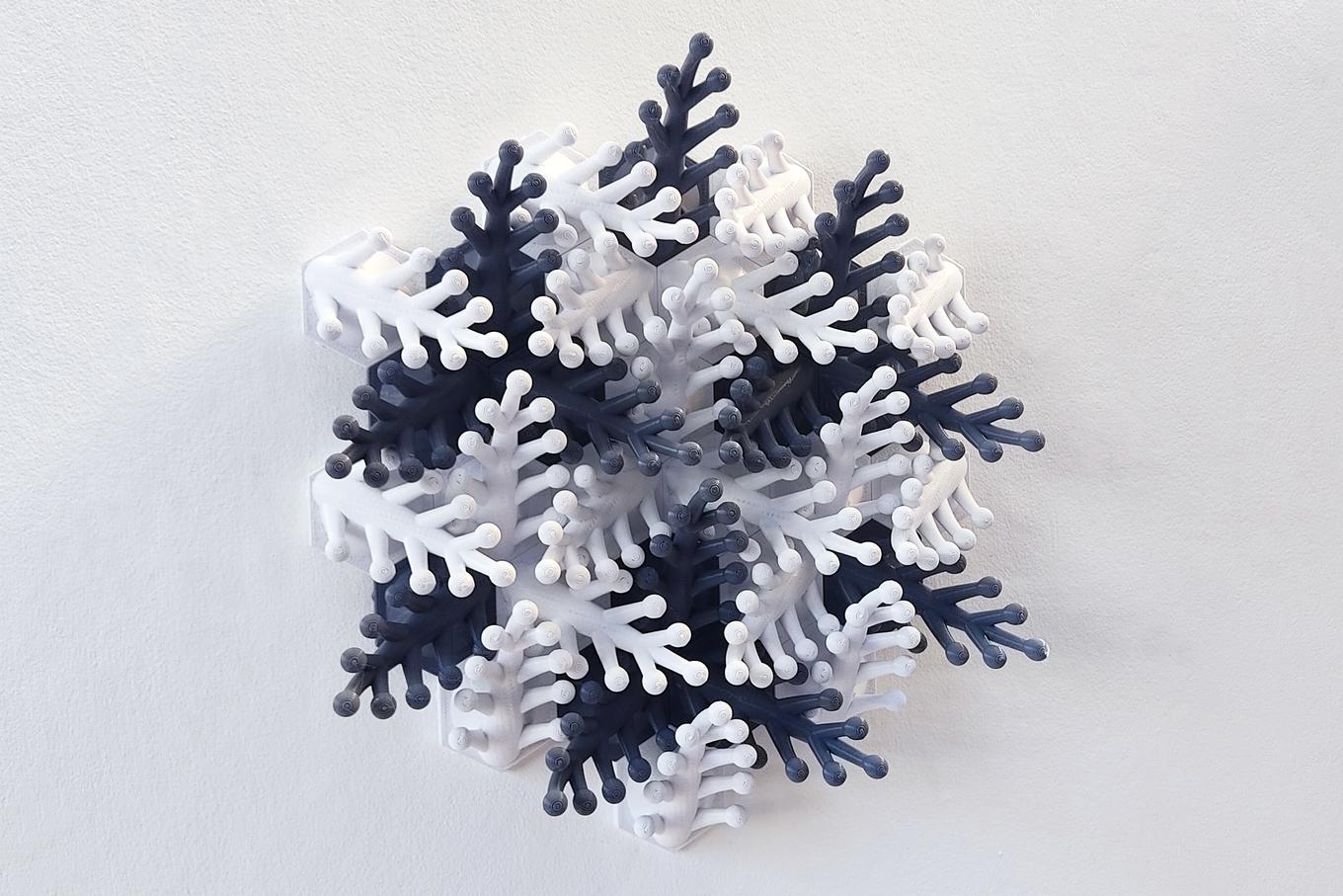 Coral Snowflake | Herschel Shapiro | Abstract 3D Wall Art Coral Snowflake | Herschel Shapiro | Abstract 3D Wall Art