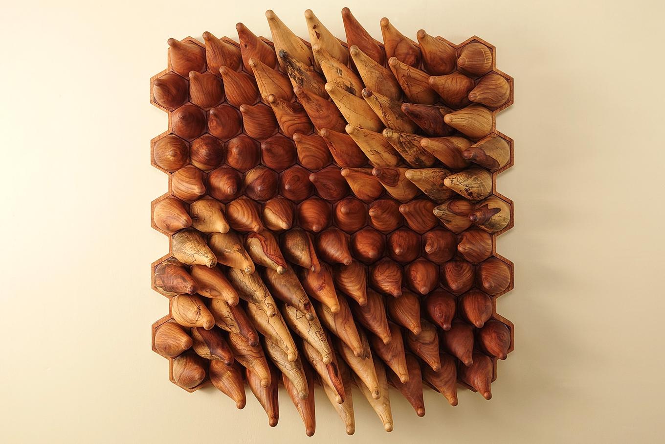 Sweepy Sprouts - Narra | Herschel Shapiro | Abstract Wall Sculpture