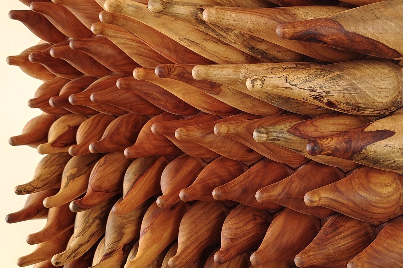 Sweepy Sprouts - Narra | Herschel Shapiro | Dimensional Wall Object