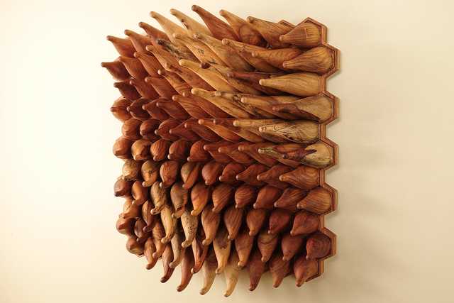 Sweepy Sprouts - Narra