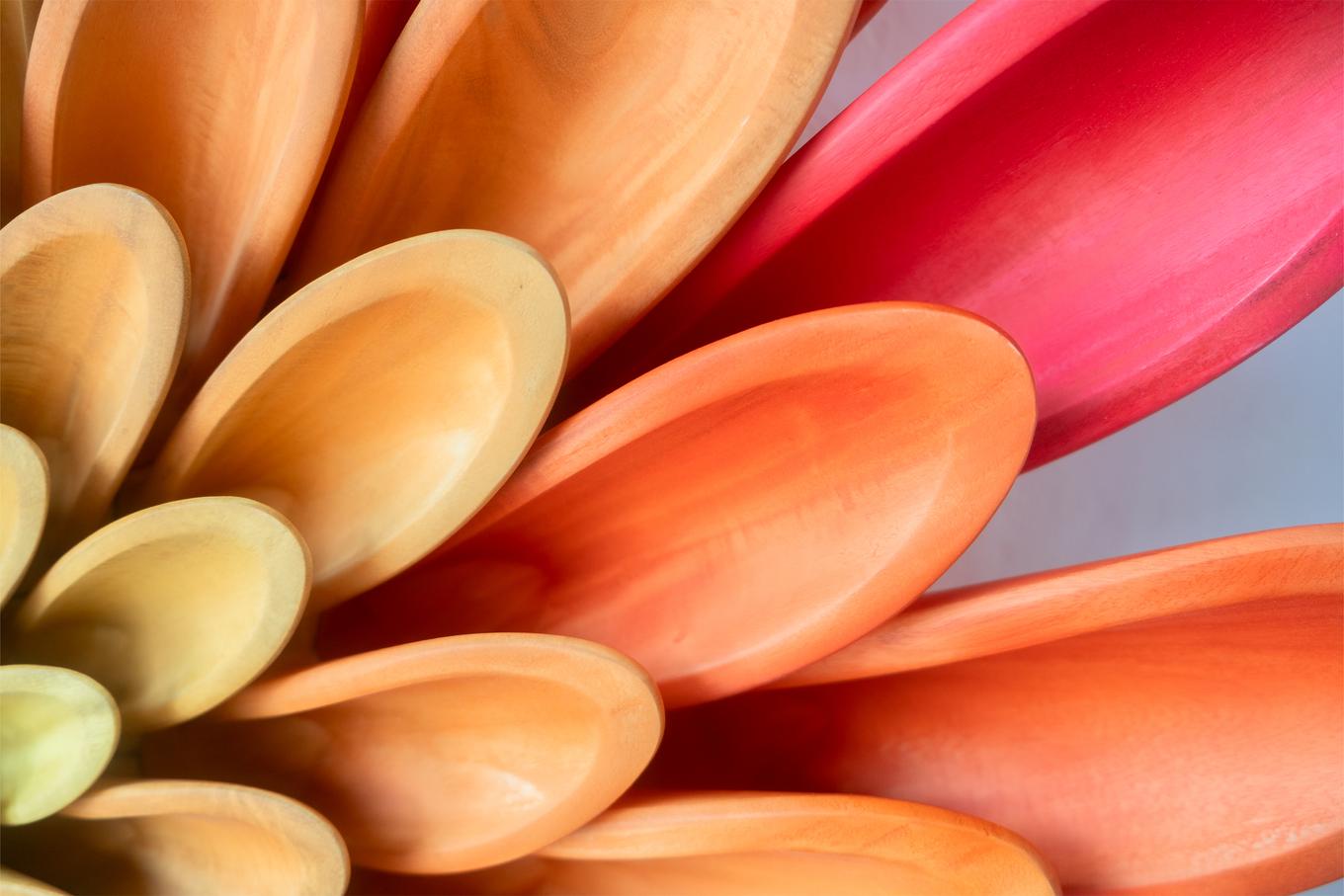 Sun Blossom | Herschel Shapiro | Dimensional Wall Object